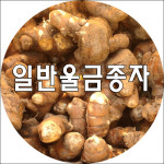 울금 강황 종자 1kg : 목화골 우리농산