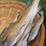 [서울 중부시장 순이네건어물] 깨끗하게 잘마른 무조미노가리 / 국내가공 / 을지로 노가리 : 순이네 건어물