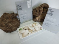 국내산 백복령 250g X2개 셋트 버섯종균배양소직판 : 버섯종균NO.1 머쉬타운
