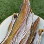 [서울 중부시장 순이네건어물] 깨끗하게 잘마른 무조미노가리 / 국내가공 / 을지로 노가리 : 순이네 건어물