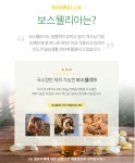 보수엘리아 관절보스웰리아 보스웰릭산 보이스웰리아 : 건강공식