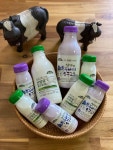 즐거운목장 산양유 요구르트(450ml) - 플레인/ 블루베리 : 임실치즈벨리 온라인 판매장