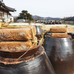 이승희 명인의 국산콩 전통메주 6개 : 청솔농장