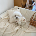 베베파자마 견주 커플룩 잠옷 원피스 올인원 강아지 옷 2type (XS-2XL) : 멍멍스튜디오