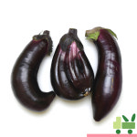가지 5Kg (보통) : 사라상회