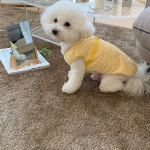 코튼캔디베스트 하네스조끼 봄옷 애견 강아지 4colors (XS-2XL) : 멍멍스튜디오