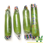 인큐 애호박 5개 (상) : 사라상회