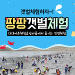 거제 팡팡갯벌체험 : PANG PANG