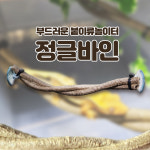 붙이류 놀이터 정글바인 소 : 파충류샵 밀림펫