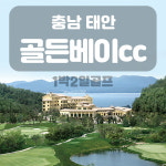 [충남] 골든베이cc 1박2일골프 11~12월 : 골프여행예약센터