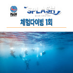 제주도 스쿠버 다이빙 제주스킨스쿠버 [보트 체험다이빙1회] : 제주도다이빙