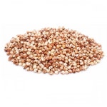 세척 볶은 수수 100g / 햄스터 알곡 먹이 : 햄숲 햄스터