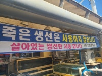 [지혜네횟집] 강원도 고성 자연산 물회 맛집 ,살아있는 생선만 사용합니다. : 지혜네횟집