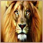 킹라이언페이스 보석십자수 size 40x50cm : 하기마켓