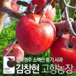 [김창현고향농장] 경북 영주 풍기 사과 (혼합/흠과) 가정용 : 유니크파머