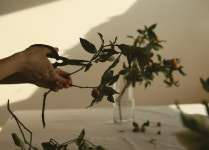 열매스튜디오 사진엽서-열매스튜디오03 : YEOLMAE