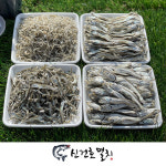 국산 상급 햇멸치 1.5kg 1kg 500g (볶음 조림 안주 국물 육수 다시 멸치) : 신건호멸치