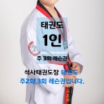 [한국체대석사태권도장] 태권도 레슨권 1인(주2회,3회) : 한국체대석사태권도