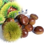 이화농원 공주 정안옥광밤(대)8kg(2024년 햇밤) : 이화농원 정안알밤