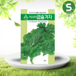 청겨자씨앗 2000립 겨자씨앗 청곱슬겨자씨앗 겨자씨 : 솔림텃밭몰