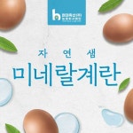 [친환경 무항생제] 자연샘 미네랄계란 특란 40구 : 현대egg