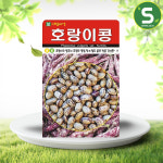 호랑이콩씨앗 30g 강낭콩씨앗 호랑이넝쿨강낭콩씨앗 : 솔림텃밭몰