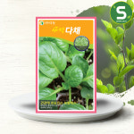 새싹다채씨앗 12g 새싹다채 새싹채소씨앗 비타민채 : 솔림텃밭몰