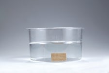 물에 뜨는 돌,가라앉는 나무(K9686)-탐구실험 : 비앤디컴퍼니