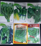 각종채소씨 채소씨앗 아욱씨앗 : 농사연구소