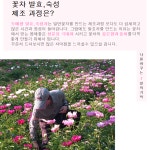 소믈리에 수제 발효숙성 선물용 7가지 꽃차 : 진리바미샾