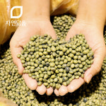 국산 햇 콩나물콩 오리태 오리알태 1kg : 자연닮음