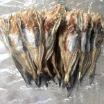 서해안 해풍으로 말린 건조망둥어 500g : 반한푸드