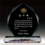 SP-218 감사패 공로패 기념패 부모님상패 학위패 퇴직기념패 기업상패 퇴직기념 : 상패 동네