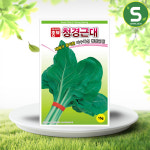 근대씨앗 15g 청경근대 쌈채소 채소씨앗 내병성품종 : 솔림텃밭몰
