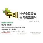 여름상추종자 3종세트 / 상추종자 / 열풍적치마, 청풍여름청치마, 선풍플러스 / 4g 정품 종자 : 두레농약종묘센터