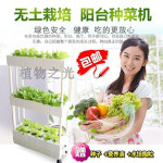 가정용스마트팜 베란다 상추수경재배 양액재배 홈파밍 가정 스마트 수배채소 무토재배설비 전자 : 오해피상점