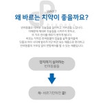강아지 애견 개 치주염 입냄새 관리 바르는 먹는 치약 덴탈케어 브리더랩 2종류 : 와일리캣