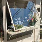 오늘도 참 예쁘다 너 레터링 감성 글귀 인테리어 스티커 시트지 : THESARA