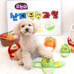 과즙 팡팡 강아지 노즈워크 장난감 랜덤발송 애견 간식놀이 토이 : hoyahouse