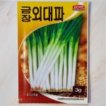 금장외대파 4g 씨앗 씨 종자 채소씨 주말농장 대파 파 텃밭 가꾸기 : 모종파는곳