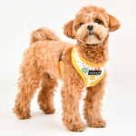 도트플라워 하네스 A (PAVA-HA1910) : 퍼피아 - 올치