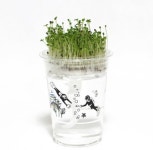 한컵새싹농장 다채우기 세트 / 재배키트, 식물키우기, 씨앗심기, 식목일, 기르기키트, 꽃키우기, 꽃키트, 식물키트, 단체선물, 선물, 행사, 학교... 