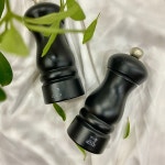 PEUGEOT 푸조 salt + pepper(솔트밀+페퍼밀) SET : 서울상사 in Busan