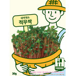 채소 씨앗 - 무 아시아진빨순이랑 적무싹 (30g) 농장텃밭 원예정원용 : 양주농부이범석