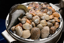 제철 모듬조개 캠핑조개 6종류 2.5kg 내외 (조개찜,조개구이) : 청해수산몰