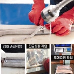 고창 민물장어 1kg+소스 2종 순한맛 매운맛 천연한방 명물장어 HACCP 홈캉스 캠핑 : 초록별마트