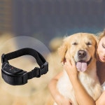 강아지 애견 반려동물 강도조절 논바킹 짖음 방지기 : 진리바미샾