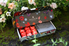 설레임플라워 생화 꽃다발 배달 전국택배 꽃배달 선물 이구아나 장미 로즈박스 : 설레임 플라워