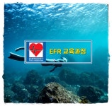 [라온아라 프리다이빙 ] EFR 교육 / 응급구조 강습 / 프리다이빙 강습 / 교육 : 라온아라 프리다이빙