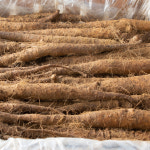 태산농장 2025햇마 참마 장마 5kg 알뜰 중품 상품 : 태산농장